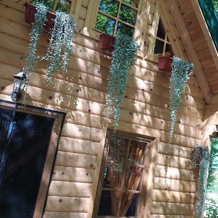 Brvnara Fairy Tale Villa Cetinje Buitenkant foto